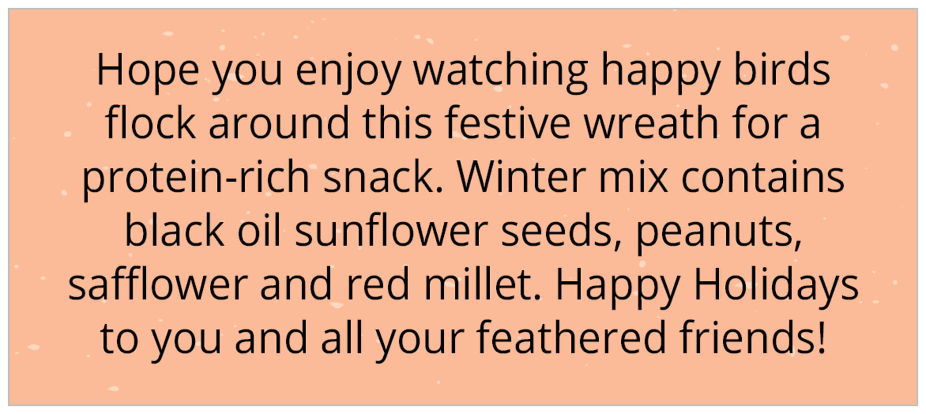small rectangular custom text labels - peach - merry birdies (set of 24)
