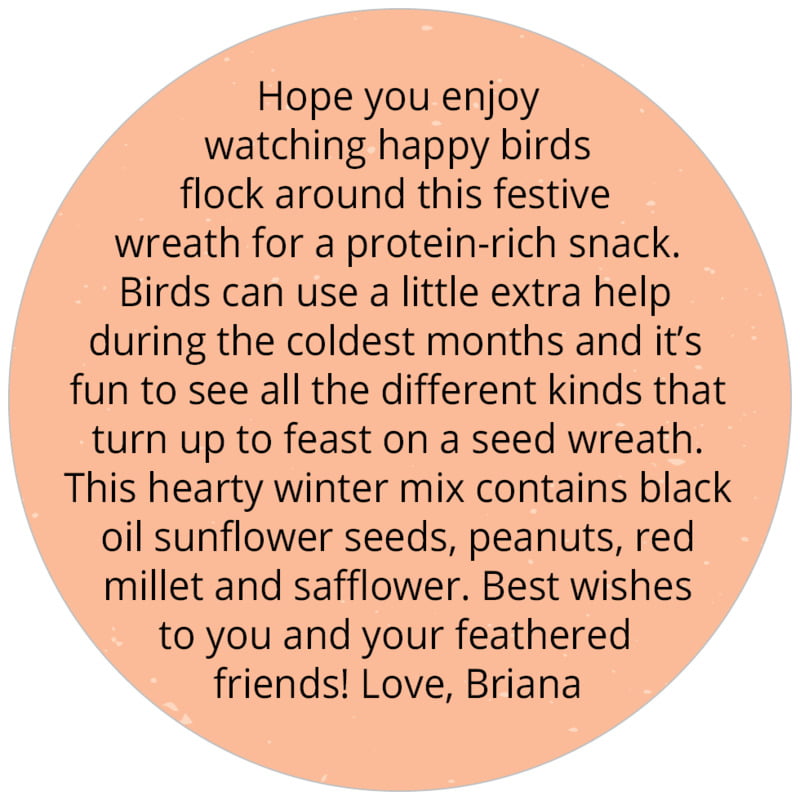circle custom text labels - peach - merry birdies (set of 20)