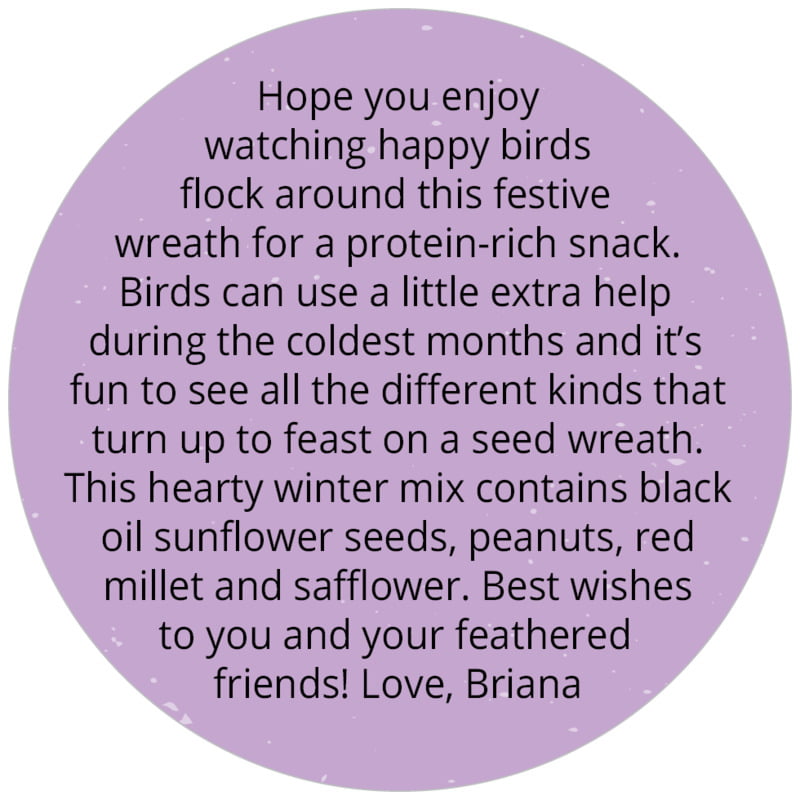 circle custom text labels - purple - merry birdies (set of 20)