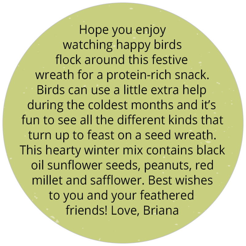circle custom text labels - green tea - merry birdies (set of 20)