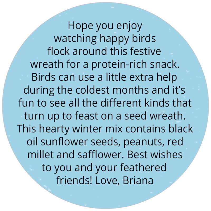 circle custom text labels - sky - merry birdies (set of 20)